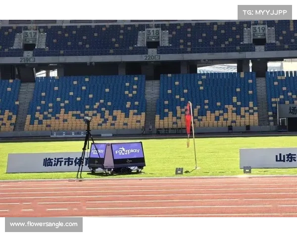 2017年体育赛事-2017世界体坛重大赛事精彩瞬间全景回顾