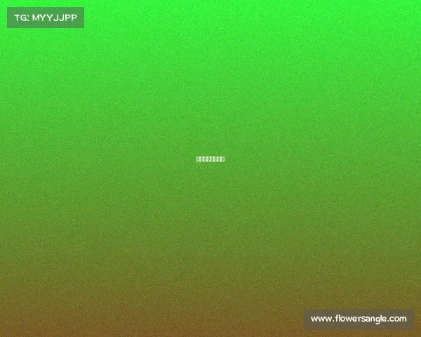 中国运动赛事排名