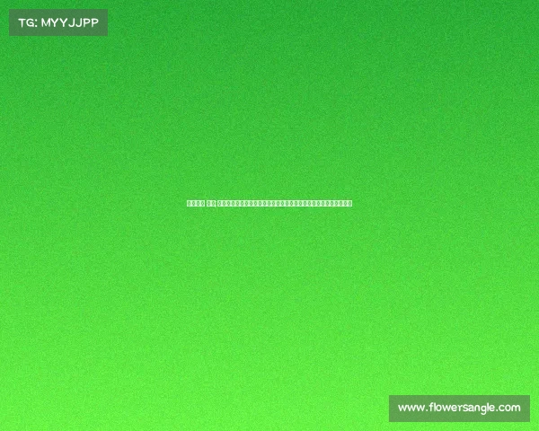 业余赛事 氛围;沉浸在业余赛事的欢乐氛围中体验非专业比赛的无限乐趣与团队精神