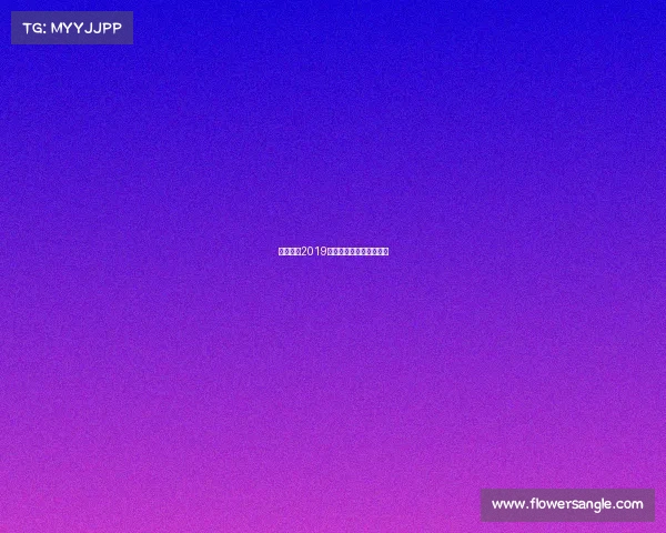 世界围棋2019赛事—最新世界围棋比赛