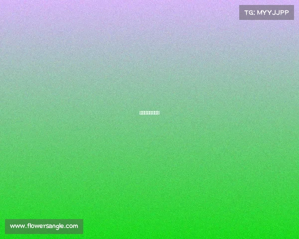 今天台球比赛结果