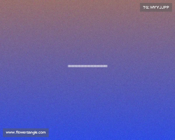 二零一八年瑞士国际大型体育盛会全程精彩回顾深远影响探讨