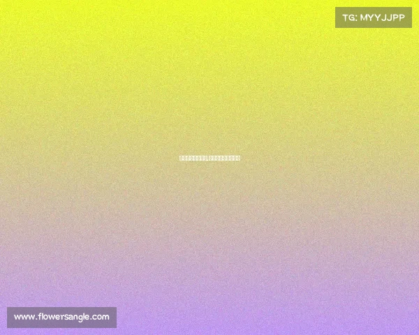 全运赛事直播棒球,全运会棒球决赛回放