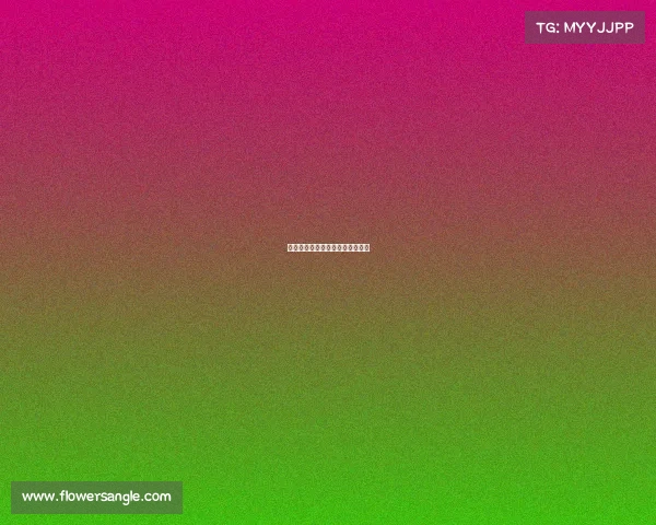 国内木球赛事、全国木球个人冠军