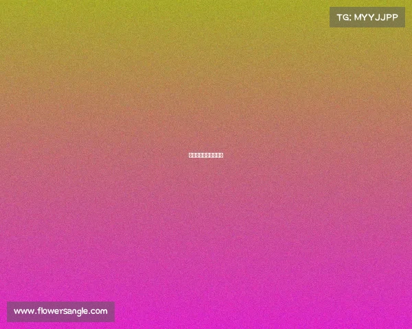 宝马比赛冠军最多的车