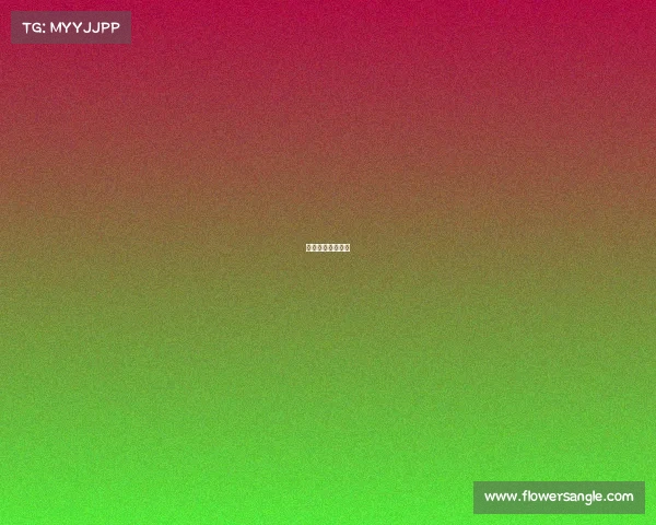 墨西哥狮子俱乐部