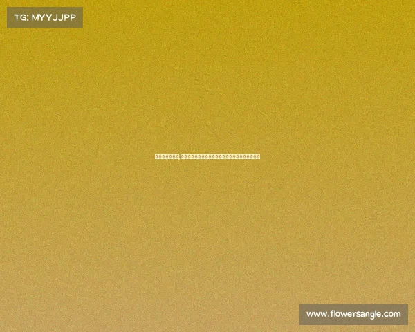 巴拉纳竞技赛事,巴拉纳竞技赛事激情绽放拼搏奋斗绿茵荣耀梦想启程