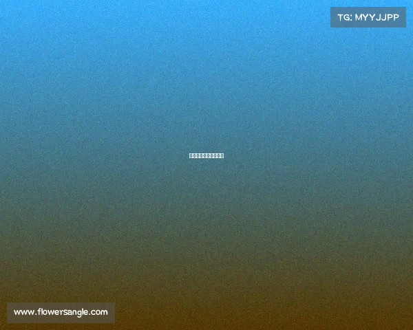 德国队最近赛事是什么