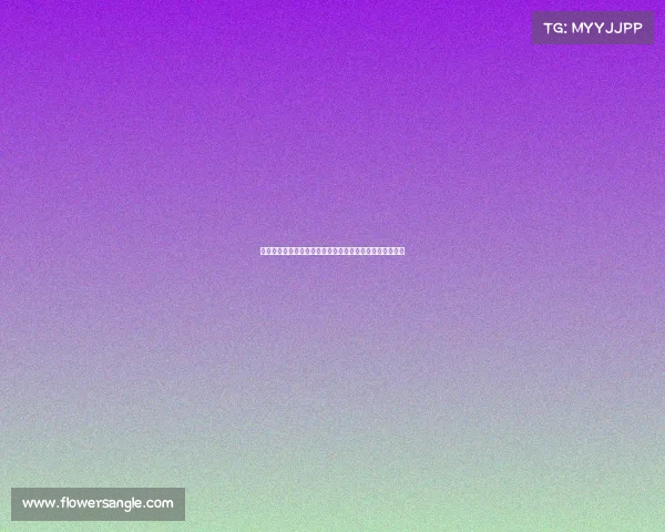 最精彩的格斗赛事巅峰格斗盛典激战无限热血沸腾震撼上演