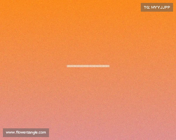 探索中国体育旅游精品赛事：共享运动激情与旅途乐趣的精彩盛会