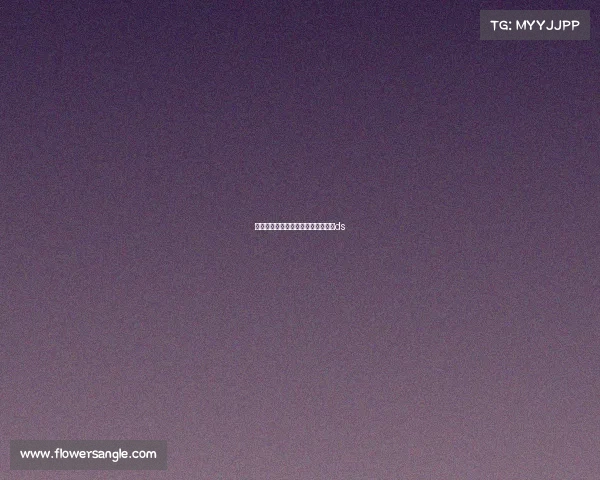 法乙赛事中心在、法乙比赛比分赛果ds