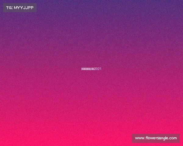 焦点赛事分析;焦点2021