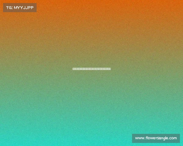 直击重量级拳击最新巅峰对决王者争霸激情碰撞震撼拳坛