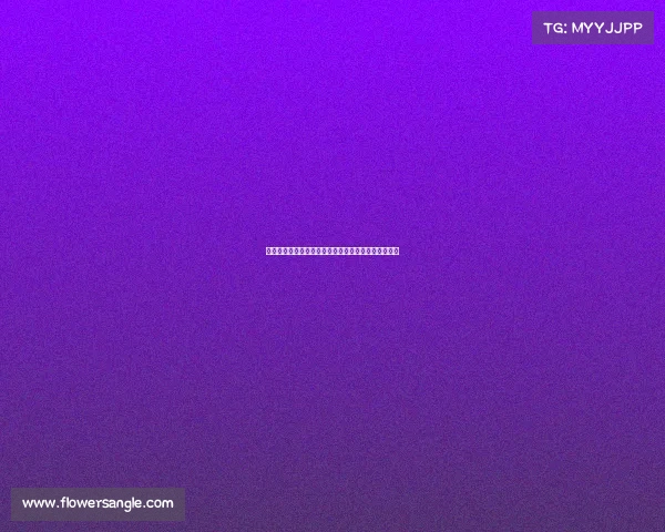 综合格斗巅峰之战拳拳到肉热血舞台见证王者荣耀崛起 综合格斗巅峰之战拳拳到肉热血舞台见证王者荣耀崛起