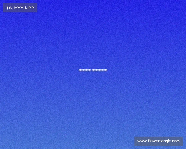 赛事筹备服务经验 赛事前期各项筹备工作