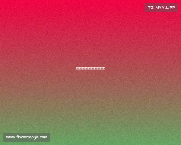 足球彩票赛事编号—足球彩票赛事编号大全