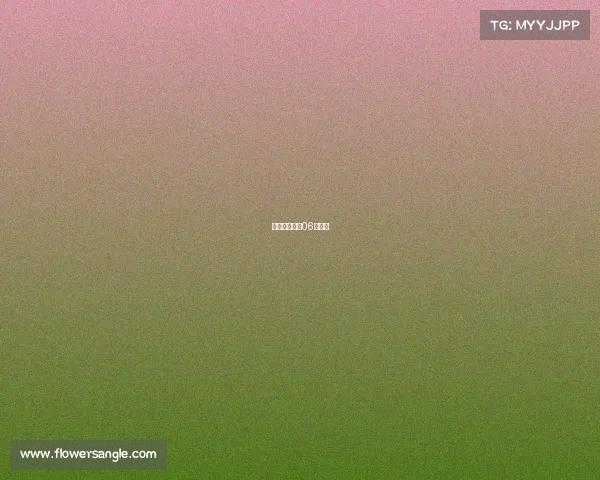 鹈鹕比赛直播06直播间