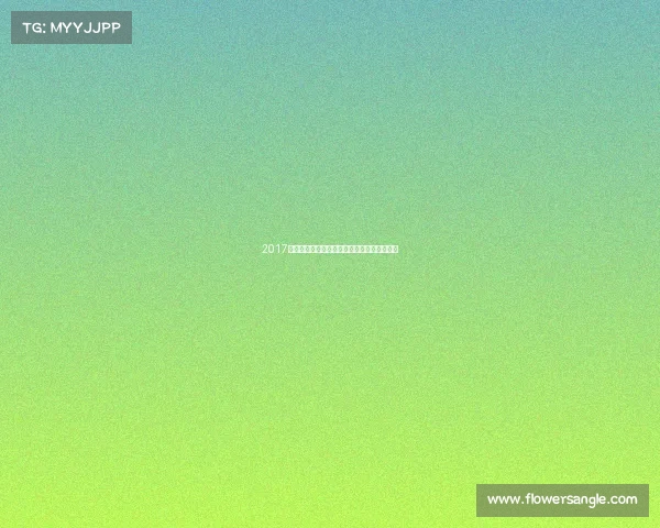 2017年杜塞尔多夫世界乒乓球锦标赛辉煌时刻回顾