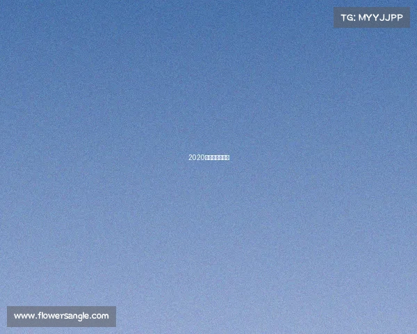 2020英超赛程时间表