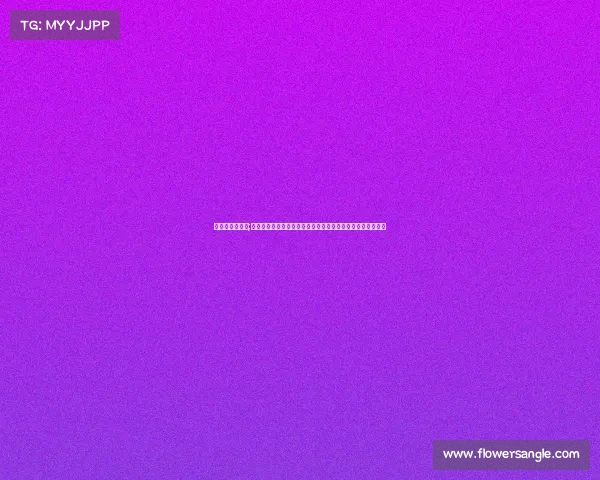 世界本今晚赛事;世界杯今晚赛事焦点战强队对决球迷狂欢夜激情四射全球瞩目