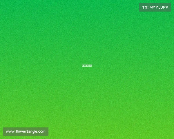 今日世锦赛赛程