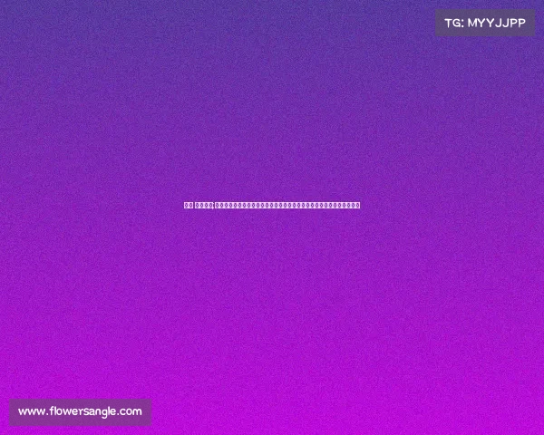 冰球 主要赛事;冰球巅峰赛事全景：从国家冰球联盟到冬季奥运会，激情对决的荣耀时刻