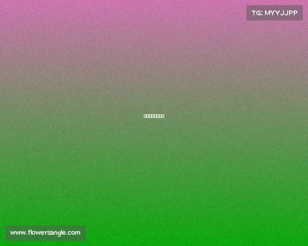 女排哪个是南京的