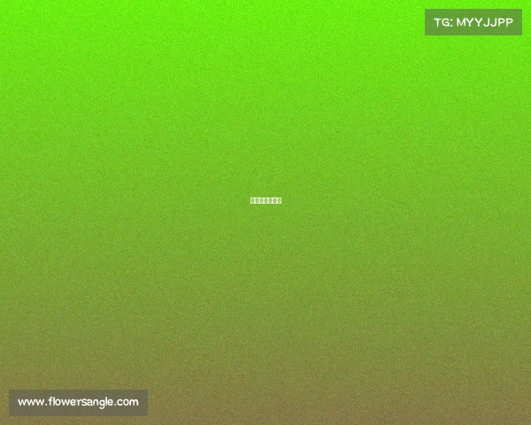 巴塞尔比赛直播