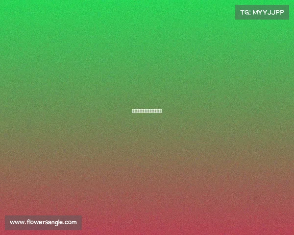 德国女子足球国内赛事直播