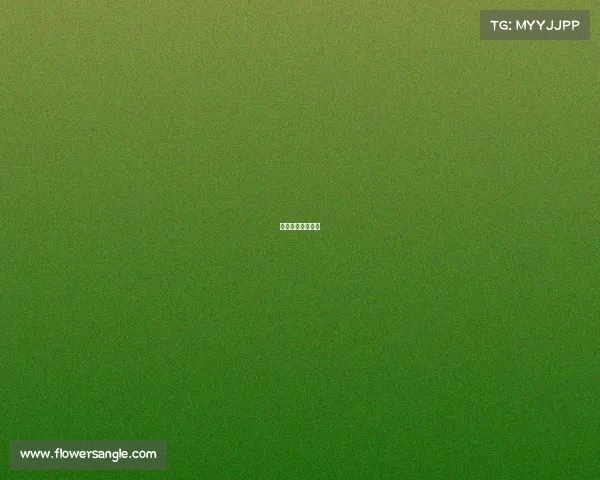 湖人热火总分预测