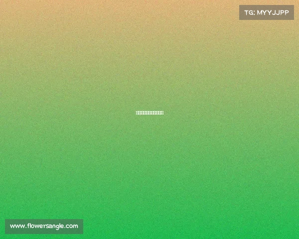 斯洛克赛事直播免费观看 斯洛克赛事直播免费观看