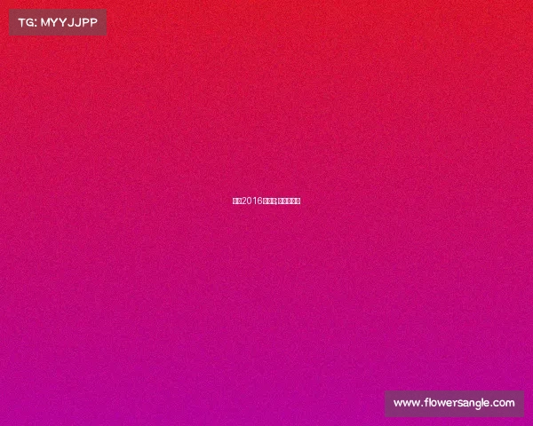 苏宁2016年赛事;苏宁的比赛