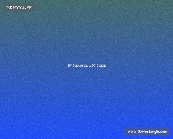 2013 篮球 cba 赛事,cba2013总决赛回顾