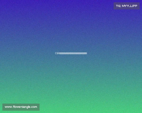 CBA篮球赛事预测全面分析球队实力与胜负概率前瞻解读