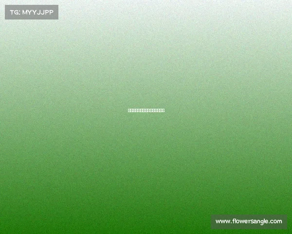 中国目前举办的搏击节目那个最火