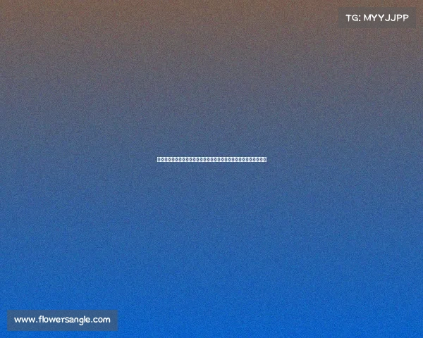 二〇二四年哈尔滨篮球联赛隆重开幕，万众期待赛事点燃城市运动热潮