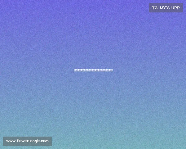 今晚足球赛事详尽安排：精彩对决时间表与直播信息大全