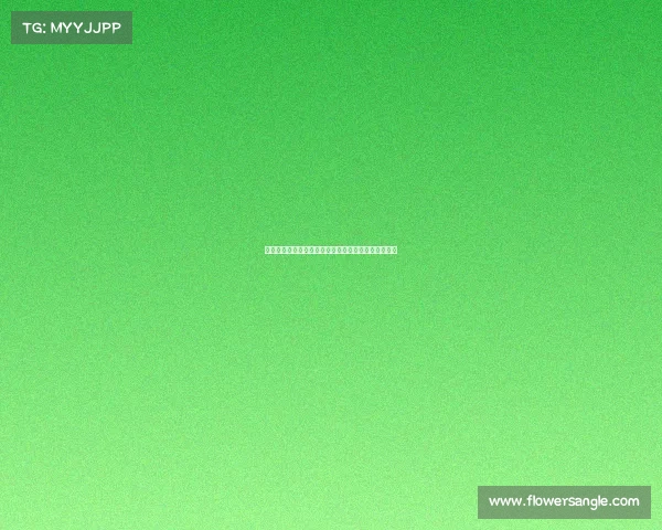 全球顶级赛事风云变幻全景纪实激情荣耀挑战全集实录
