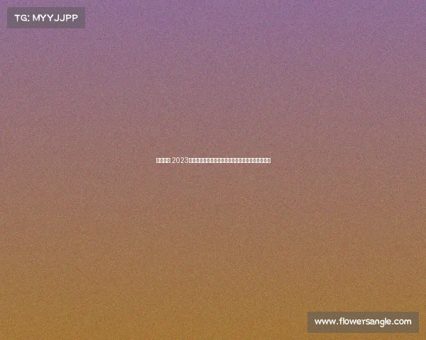 波马冠军 2023波马赛事全球跑者挑战极限诠释马拉松精神荣耀时刻